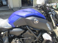 mt 007