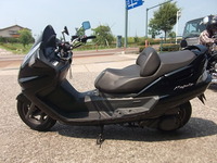 yp 007