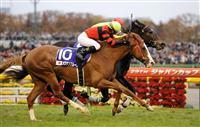20091129-00000512-sanspo-horse-thum-000