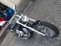 SR 006