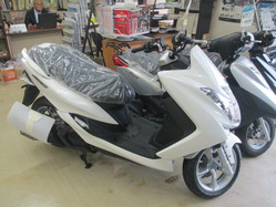 mt 003