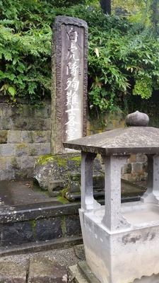 東北