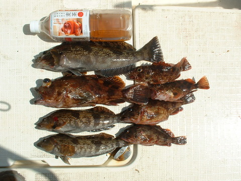 2018_0329_120228-DSCF0151