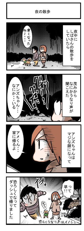 20181207