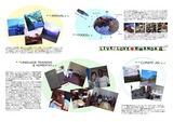 44c8662d.jpg