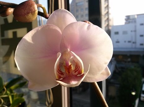 4月12日2