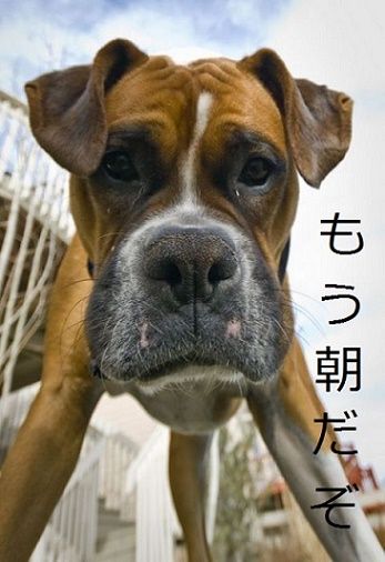 6.金曜