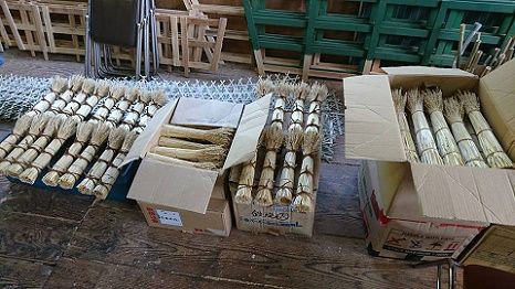 19113637_1198334720276172_7313398492007319099_n