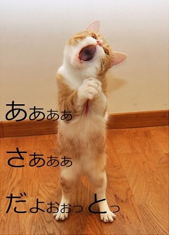 火曜