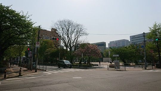 DSC_0003