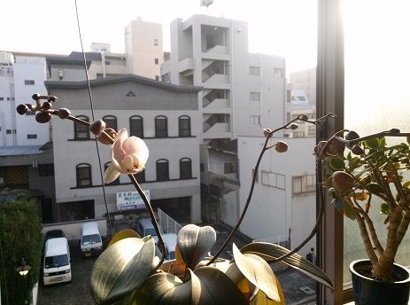 4月12日