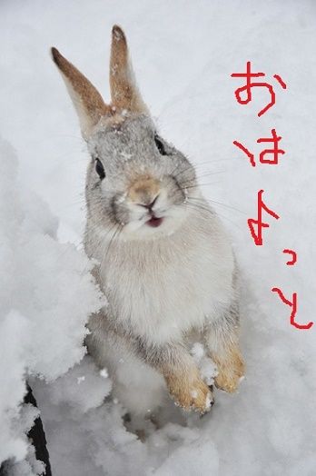 木曜