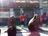 3500e5b3.jpg