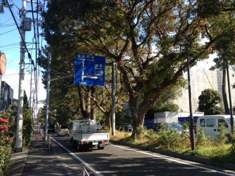hakone7_7