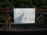 コピー 〜 IMGP0061