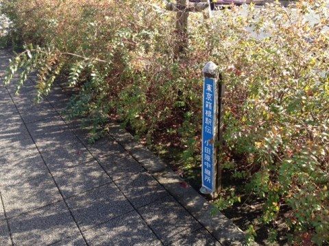 hakone7_1