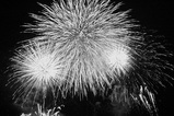 a52a85d0.jpg