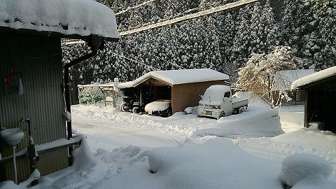 DSC_6791_s