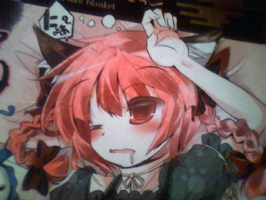 c81sam03