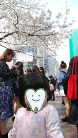 渋谷駅前の桜