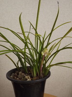 DSCF5055
