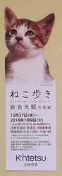 DSCF7799