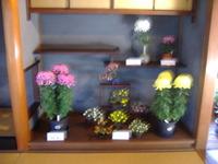 DSCF3264