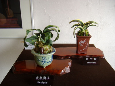 DSCF0736