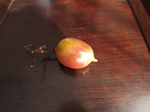 DSCF7587