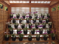 DSCF5260