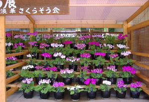 DSCF3686