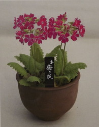 DSCF6685