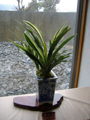 DSCF0735