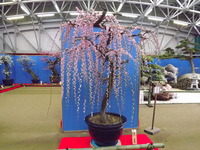 DSCF0269