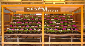 DSCF3688