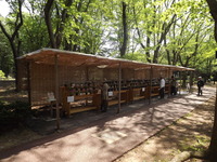 DSCF5256