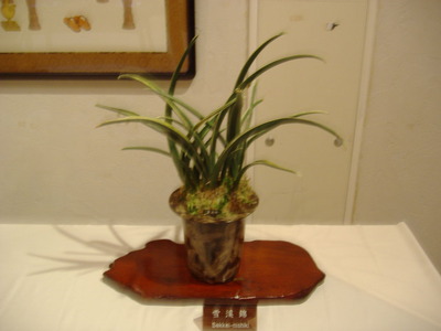 DSCF0725