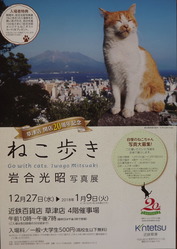 DSCF7795