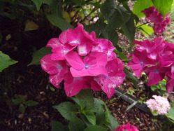DSCF2051
