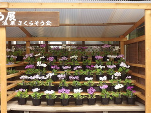 DSCF5172