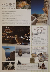 DSCF7796