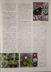 DSCF5025