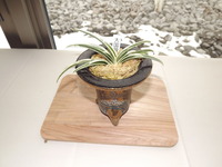 DSCF0272