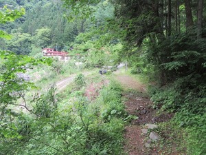 2017_06140058
