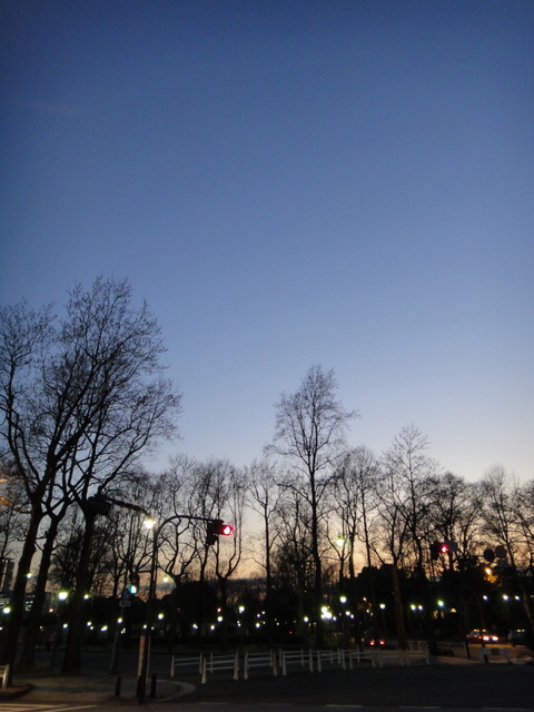 DSC06535