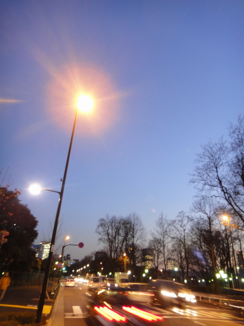DSC06537