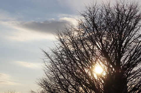DSC00080