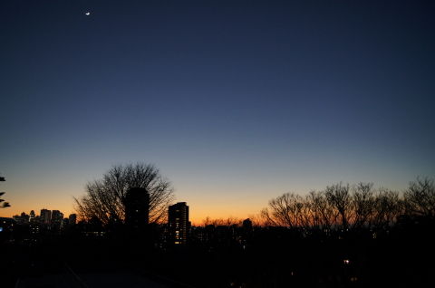 DSC00040