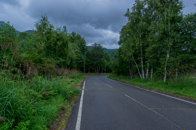 IMGP6190