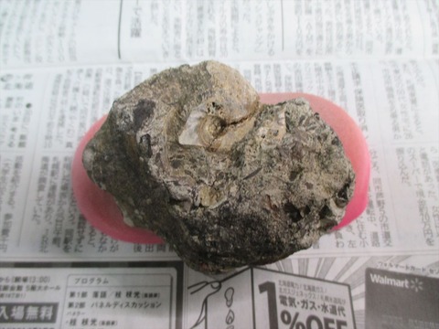 ボロボロ母岩クリ前